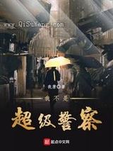 我不是超级警察小说
