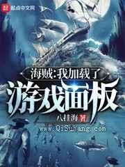 海贼：我加载了游戏面板小说