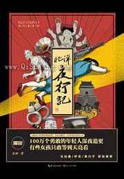 北洋夜行记小说