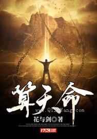 算天命小说