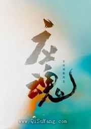 应魂小说