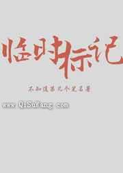 临时标记小说