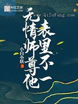 无情师尊他表里不一小说