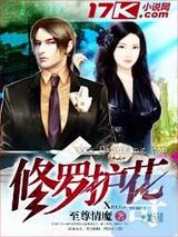 修罗护花小说