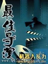 最佳导演小说