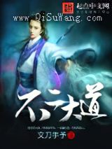 不二大道小说