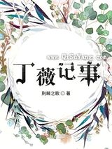 丁薇记事小说