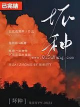 坏种小说