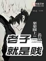 老子就是贱小说