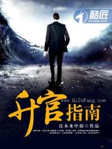 升官指南小说