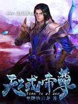 天域帝尊小说