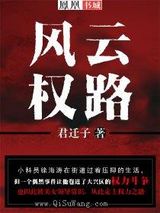 风云权路小说