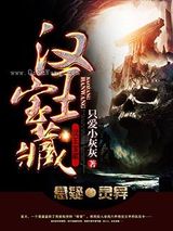 汉王宝藏小说