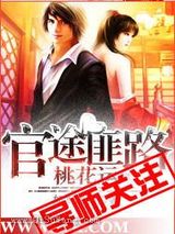 官场布衣小说