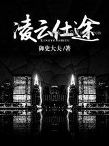 凌云仕途小说