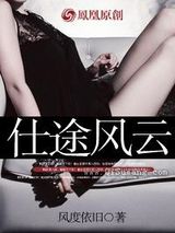 仕途风云小说