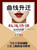 曲线升迁：权道情谋小说