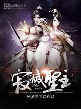 寂灭圣主小说