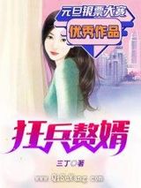 狂兵赘婿小说