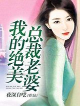 我的绝美总裁老婆小说