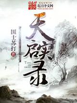 天启实录小说