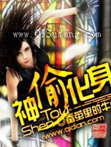 神偷化身小说