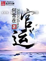 官运小说