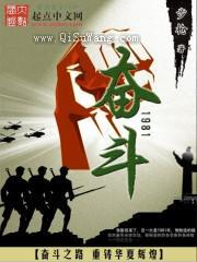 奋斗1981小说