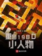 重回1980小人物小说