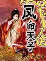 凤命天子之思情刀小说