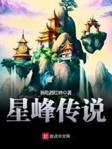 星峰传说小说