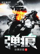 弹痕小说