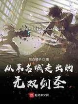 [只狼]从苇名城走出的无双剑圣小说