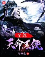 至尊天命系统小说
