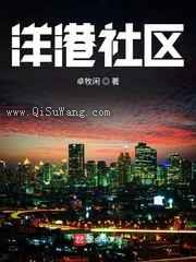 洋港社区小说