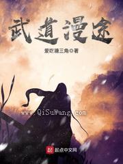 武道漫途小说