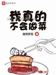 我真的不会做菜小说