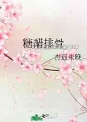 糖醋排骨小说