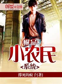 极品小农民系统小说