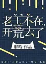 老王不在，开荒去了小说