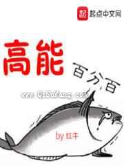 高能百分百小说