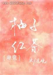 柚子红茶小说
