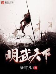 明武天下小说