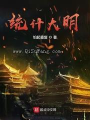 统计大明小说