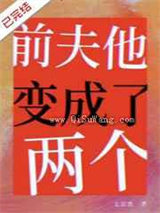 前夫他变成了两个小说