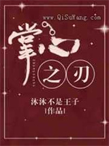 掌心之刃小说
