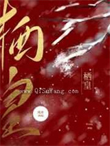 栖皇小说