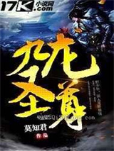九龙圣尊小说