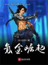 氪金崛起小说