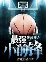 篮球梦之最强小前锋小说